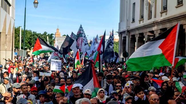 105 demonstrations held in 48 moroccan cities in support of gaza