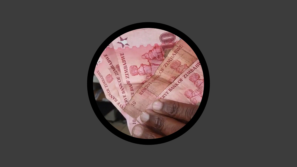 ডলারের বিকল্প হতে পারবে কি জিম্বাবুয়ের ‘জিগ
