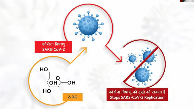 2 deoxy d glucose 2 dg