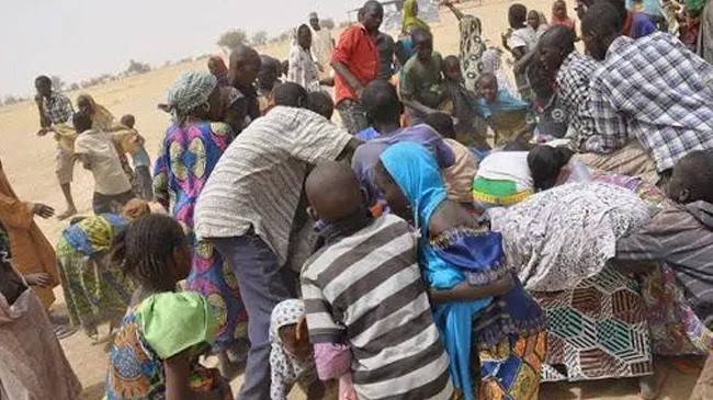 23 people were killed in niger