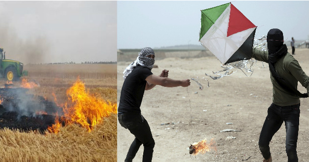 Palestine Kite