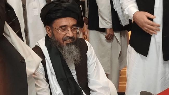 abdul hakim haqqani