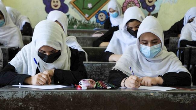 afganistan female students taliban