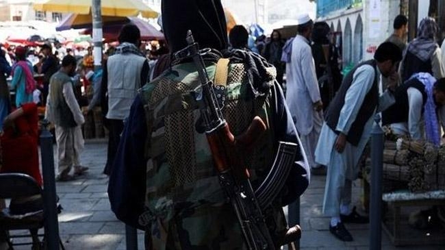 afghan situation three months taliban rule