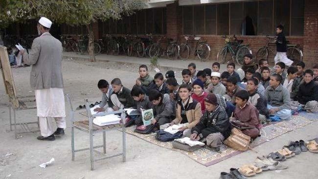 afghana treacher