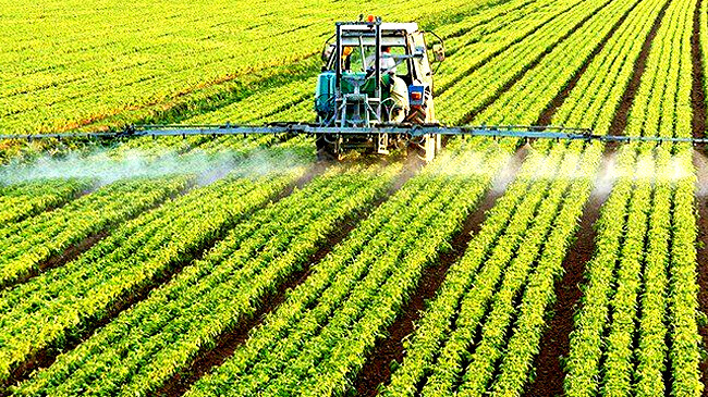 মধ্যপ্রাচ্যে উত্তেজনার জেরে কৃষিপণ্যের দামের ঊর্ধ্বগতি