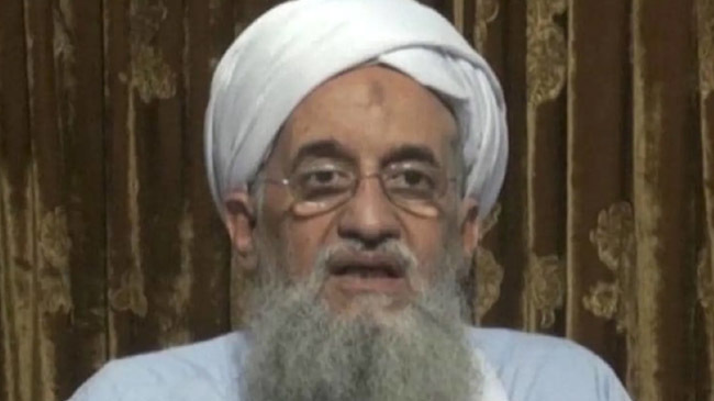 al zawahiri alive