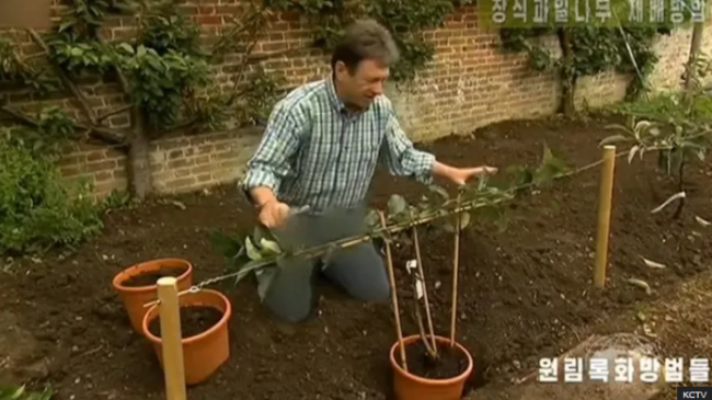 alan titchmarsh