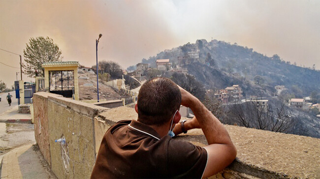 algeria fire