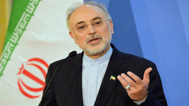 ali akbar salehi