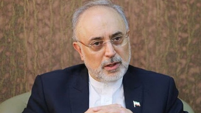 ali akber salehi iran