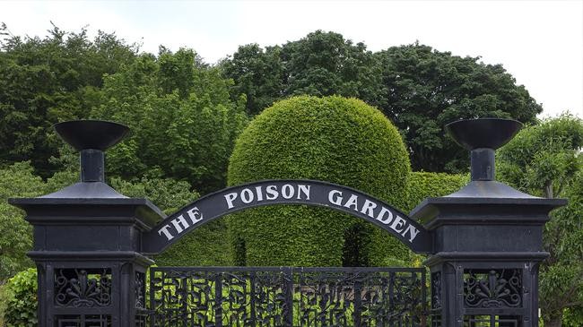 alnwick garden
