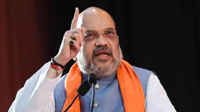 amit shah india 2