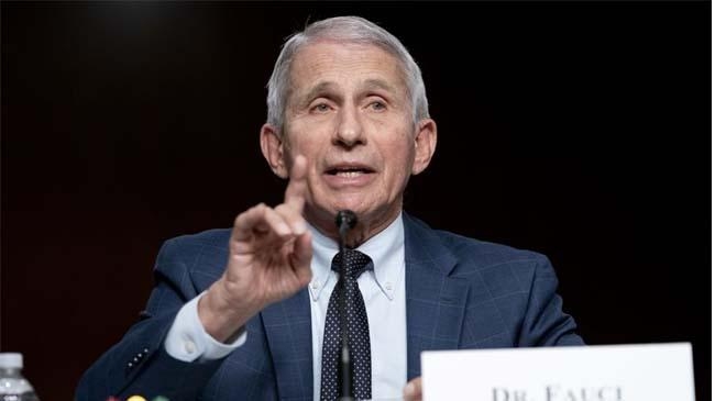 anthony fauci