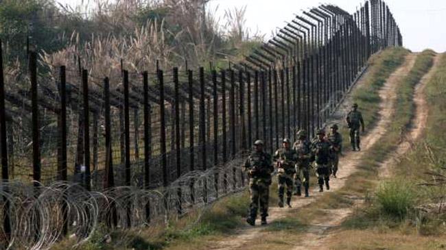 anti cut fence india