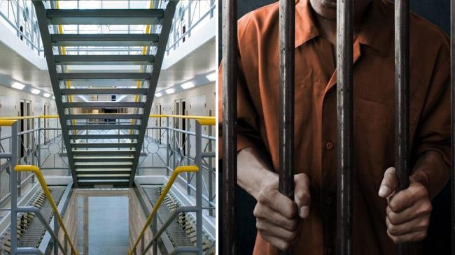 application for voluntary imprisonment