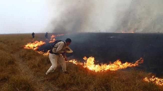 argentina wildfire corrientes province