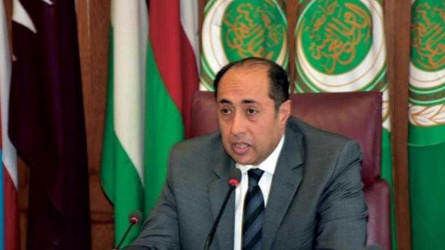 assistant secretary general arab league hossam zaki