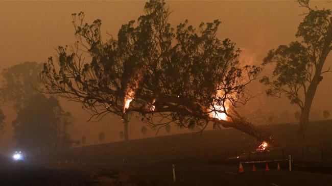 australia bushfire