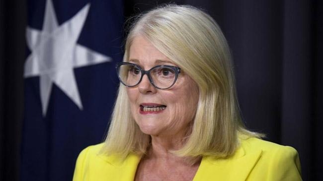 australian home affairs minister karen andrews