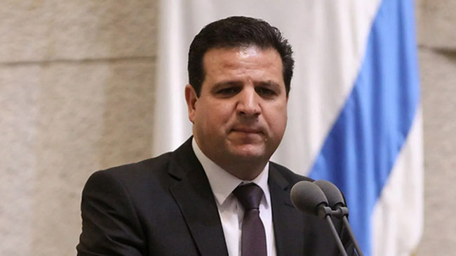 ayman odeh