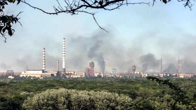 azot plant