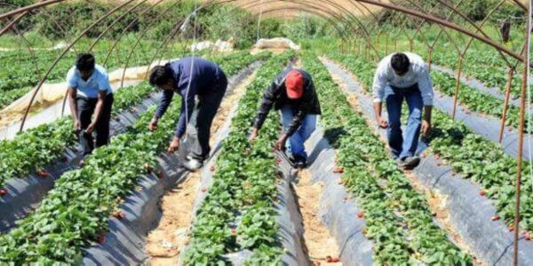 bangladeshi worker in greece