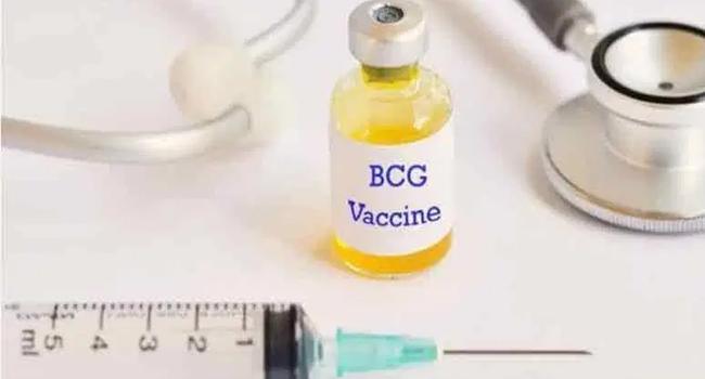 bcg vaccine