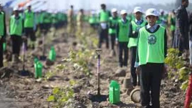 billion tree tsunami project of the government of pakistan 2