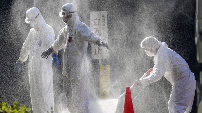 bird flu in japan