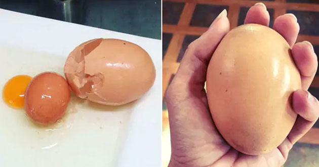 bolted in an egg world