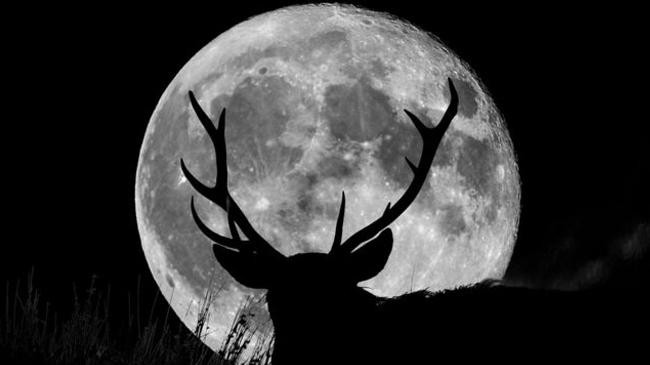 buck supermoon