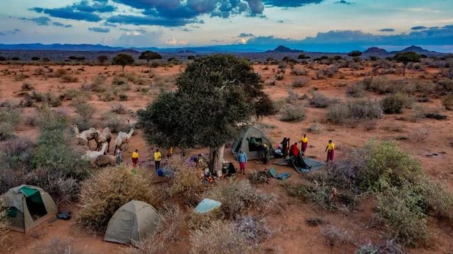 camels bearing healthcare kenya