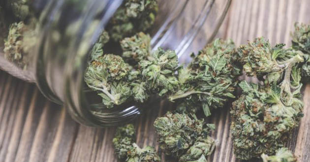cannabis use