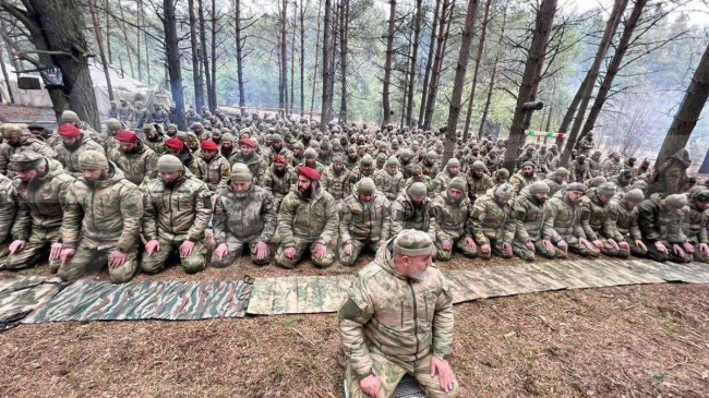 chechen tlsd 