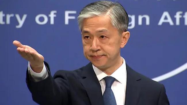 china foreign ministry spokesperson wang wenbin
