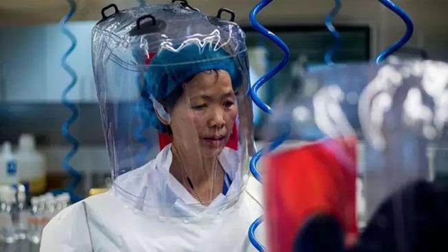 china scientist shi zengly