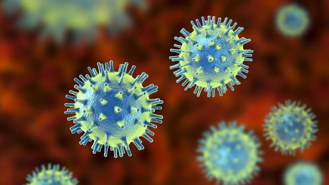 china virus