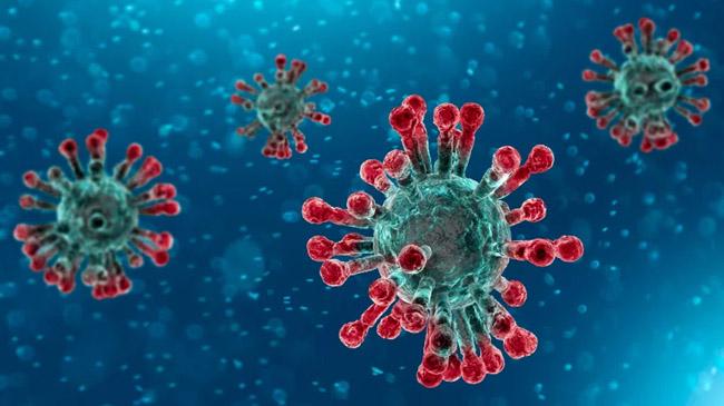 coronavirus pic 01
