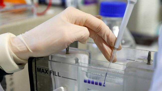 chinese sciencist claim omicron antibody