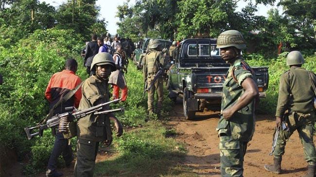 congo killed 23