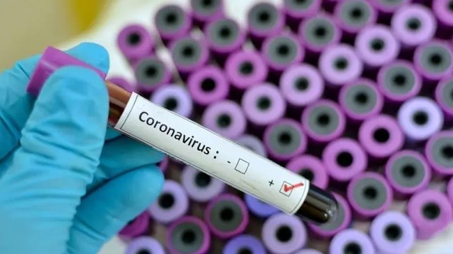 coronavirus kills 50 in iran