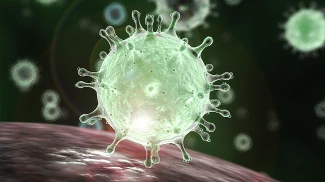 coronavirus pic