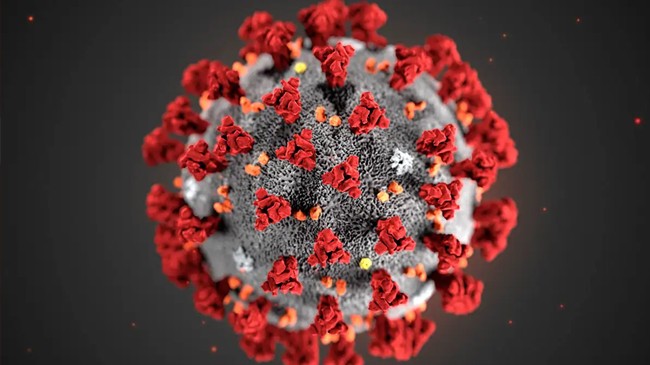 covid 19 virus