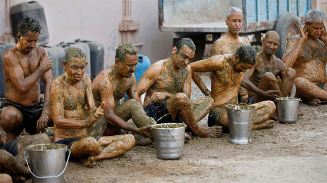 cow dung india