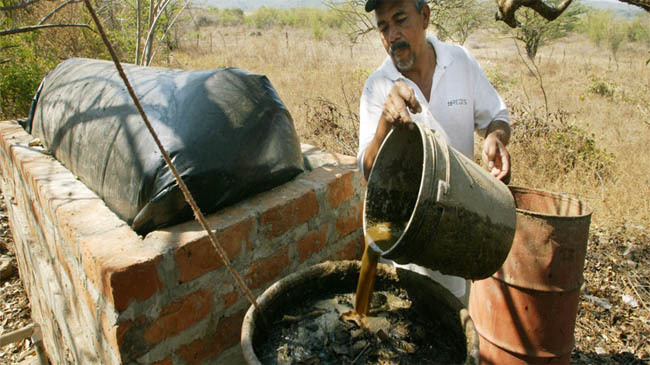 cow dung tank