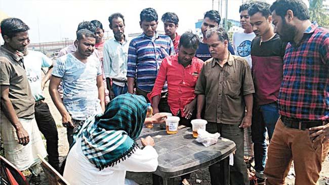 cow wheat sold kolkata