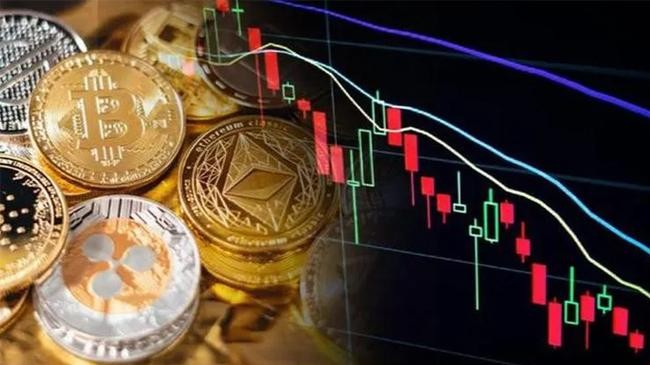crypto market fall