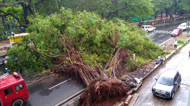 cyclone goa