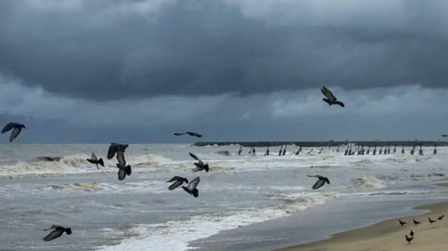 cyclone tauktae india